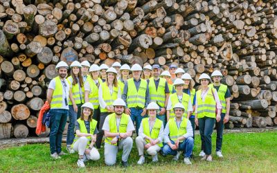 CELLFIL, A European Project to Enhance Sustainability in Textile Production with Lyocell Filament