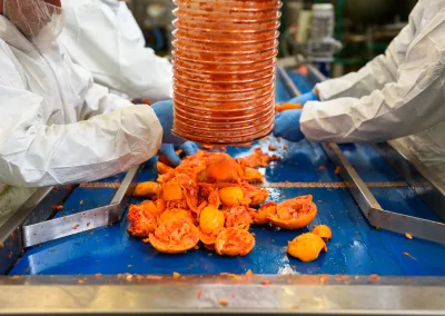 Orange peel processing for extraction of clellulose