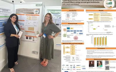 At EUBCE 2025, CELLFIL Highlights Blended Feedstock Strategies for Scaling Bio-Based Lyocell Fibers