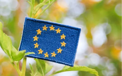 CELLFIL Develops First Policy Paper to Support Europe’s Bio-Based Future
