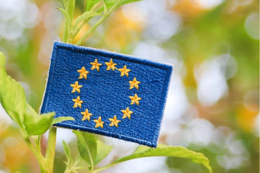 CELLFIL Develops First Policy Paper to Support Europe’s Bio-Based Future
